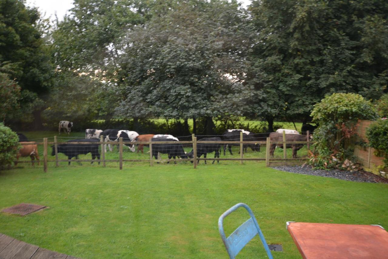 Walton Crescent Bed & Breakfast Winford Eksteriør bilde
